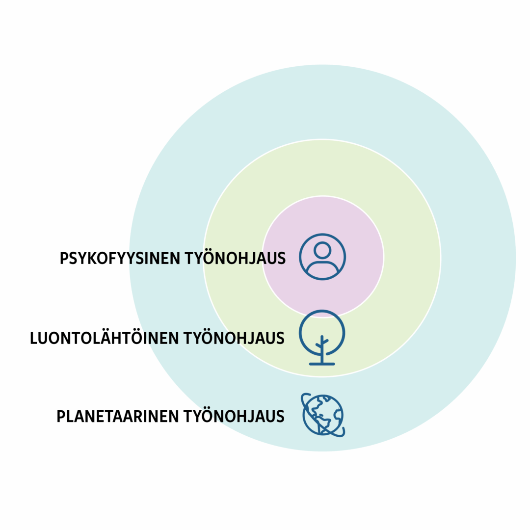 Planetaarinen työnohjaus muodostaa suurimman kehän, jonka sisällä ovat luontolähtöinen ja sisimpänä kehänä psykofyysinen työnohjaus.