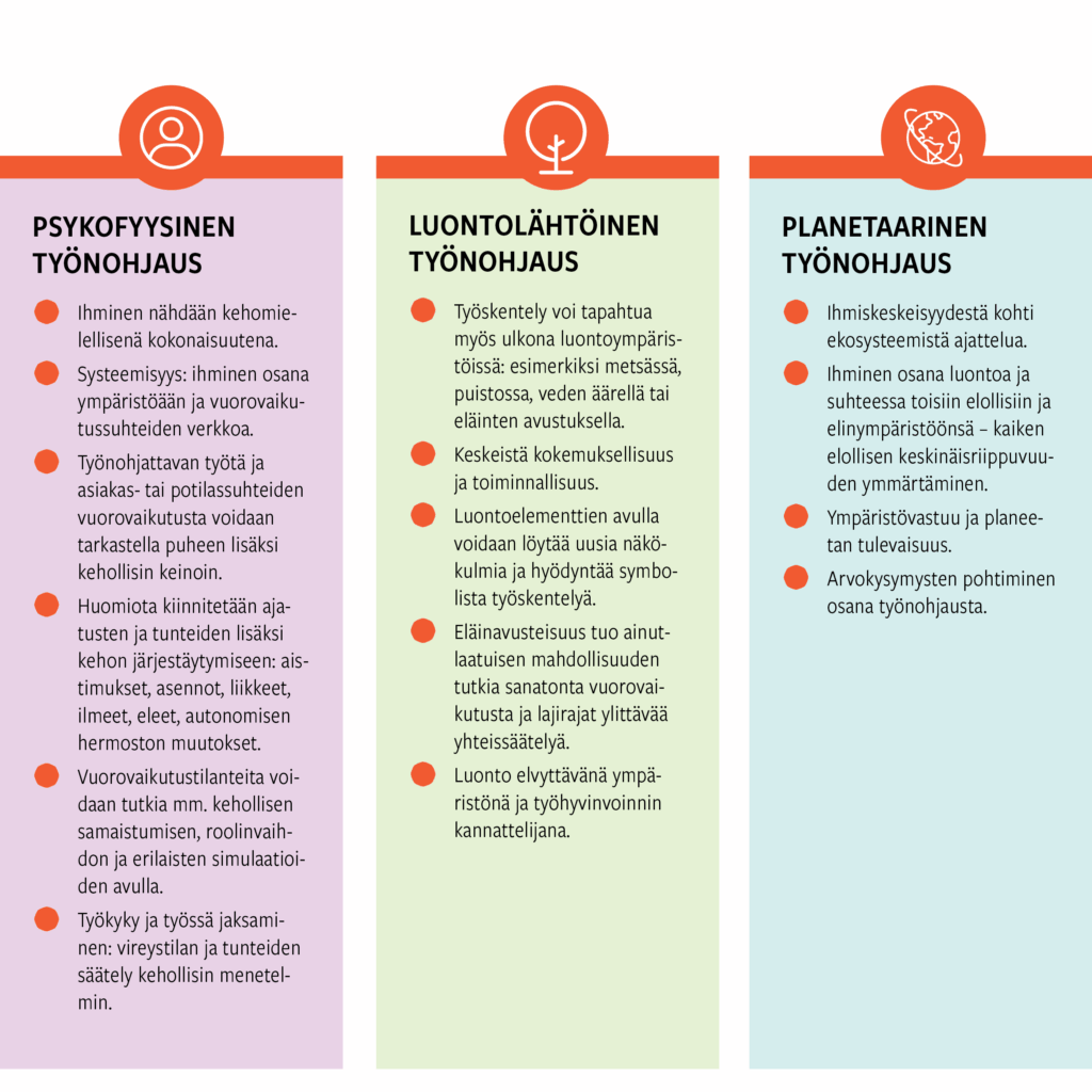 PSYKOFYYSINEN TYÖNOHJAUS
Ihminen nähdään kehomielellisenä kokonaisuutena.
Systeemisyys: ihminen osana ympäristöään ja vuorovaikutussuhteiden verkkoa.
Työnohjattavan työtä ja asiakas- tai potilassuhteiden vuorovaikutusta voidaan tarkastella puheen lisäksi kehollisin keinoin.
Huomiota kiinnitetään ajatusten ja tunteiden lisäksi kehon järjestäytymiseen: aistimukset, asennot, liikkeet, ilmeet, eleet, autonomisen hermoston muutokset.
Vuorovaikutustilanteita voidaan tutkia mm. kehollisen samaistumisen, roolinvaihdon ja erilaisten simulaatioiden avulla.
Työkyky ja työssä jaksaminen: vireystilan ja tunteiden säätely kehollisin menetelmin.
LUONTOLÄHTÖINEN TYÖNOHJAUS
Työskentely voi tapahtua myös ulkona luontoympäristöissä: esimerkiksi metsässä, puistossa, veden äärellä tai eläinten avustuksella.
Keskeistä kokemuksellisuus ja toiminnallisuus.
Luontoelementtien avulla voidaan löytää uusia näkökulmia ja hyödyntää symbolista työskentelyä.
Eläinavusteisuus tuo ainutlaatuisen mahdollisuuden tutkia sanatonta vuorovaikutusta ja lajirajat ylittävää yhteissäätelyä.
Luonto elvyttävänä ympäristönä ja työhyvinvoinnin kannattelijana.
PLANETAARINEN TYÖNOHJAUS
Ihmiskeskeisyydestä kohti ekosysteemistä ajattelua.
Ihminen osana luontoa ja suhteessa toisiin elollisiin ja elinympäristöönsä – kaiken elollisen keskinäisriippuvuuden ymmärtäminen.
Ympäristövastuu ja planeetan tulevaisuus.
Arvokysymysten pohtiminen osana työnohjausta.